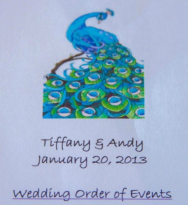Peacock theme wedding ideas. DIY Peacock wedding programs. #peacockthemewedding 