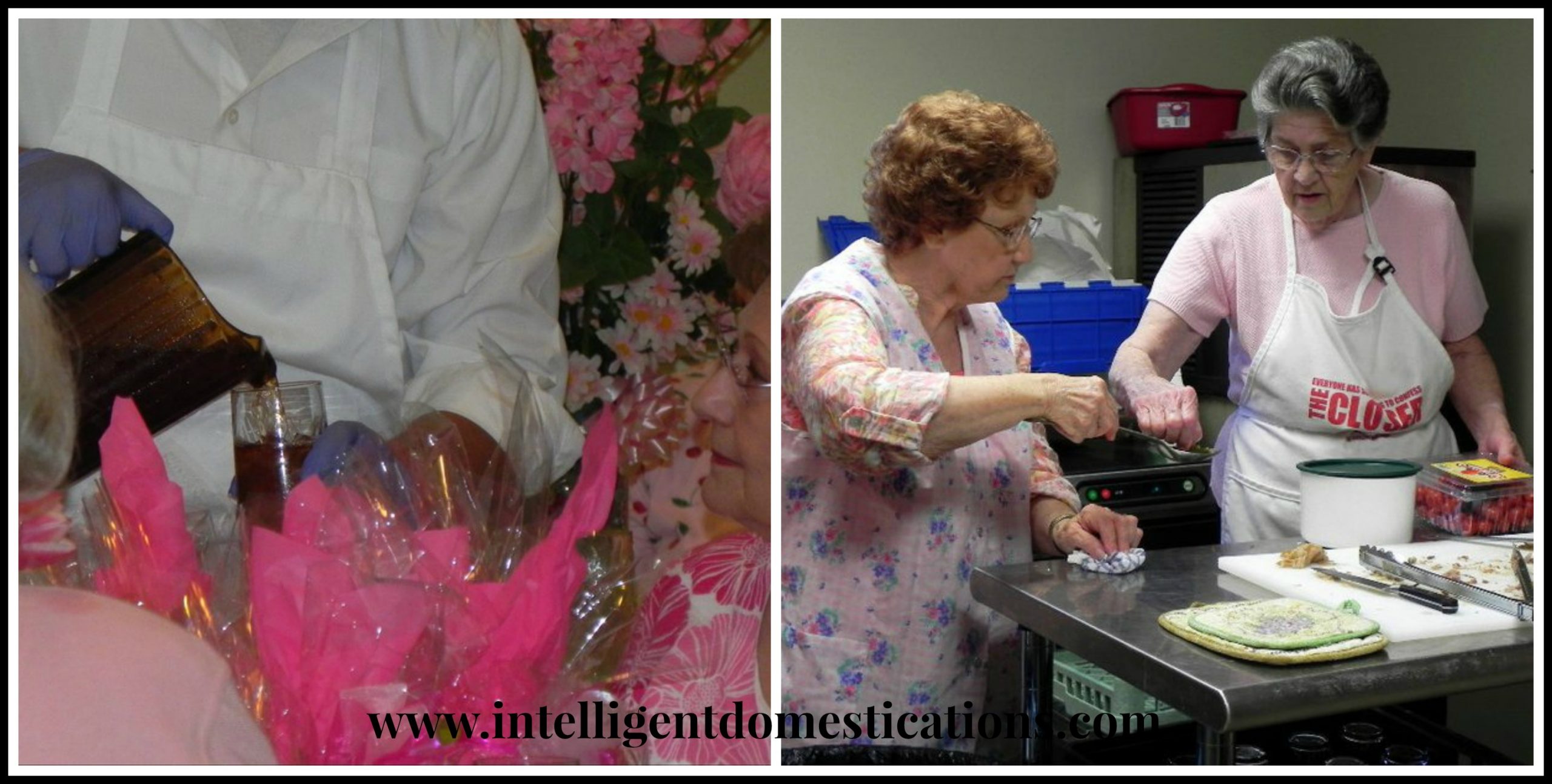 Hands that serve. intelligentdomestications.com