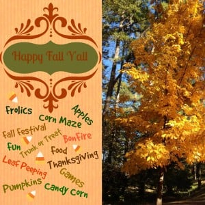 Fall Group Pinterest Board by Intelligentdomestications.com.Send request to join to shirley.wood97@gmail.com