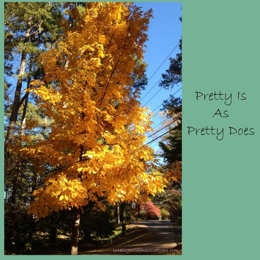 Pretty Is As Pretty Does.intelligentdomestications.com