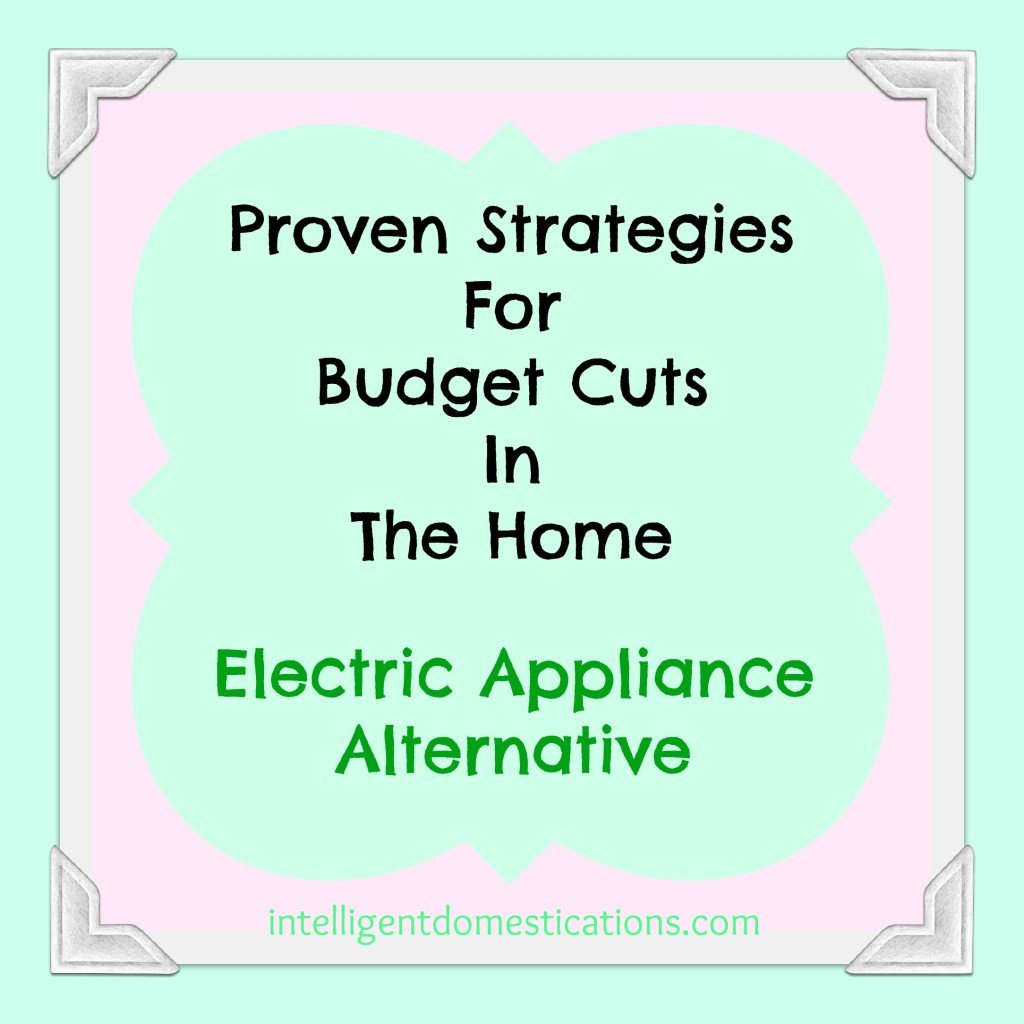 Proven Strategies For Budget Cuts In The Home. Electric Appliance Alternative.intelligentdomestications.com