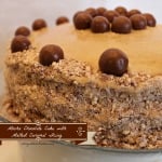 Mocha Chocolate Cake with Malted Caramel Icing Decorated with Malted Milk Balls. Two Layers.by intelligentdomestications.com