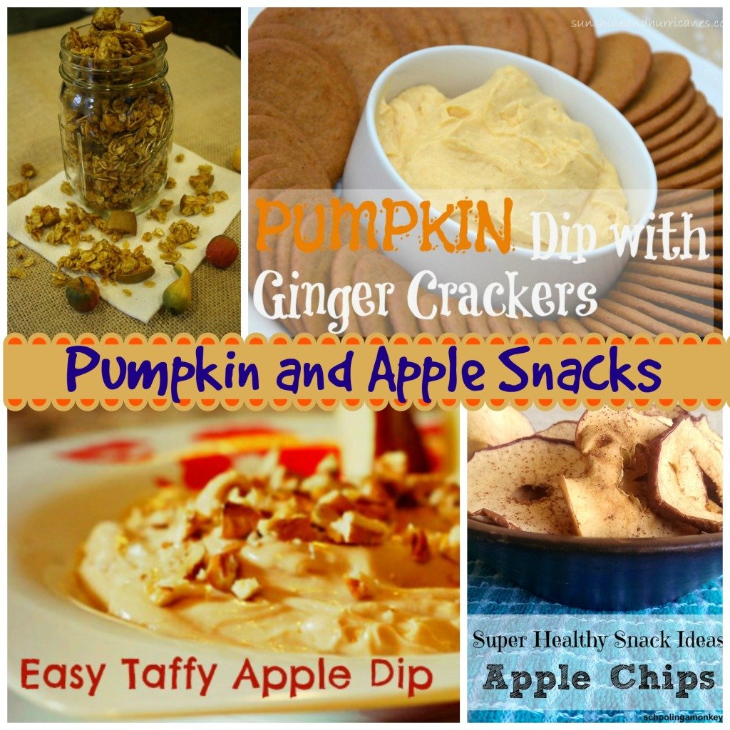 Pumpkin and Apple Snacks by Southern Girls Blogger Group.www.intelligentdomestications.com