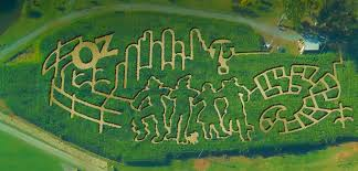 An aerial view of The Rock Ranch Corn Maze 2014 Wizard of Oz