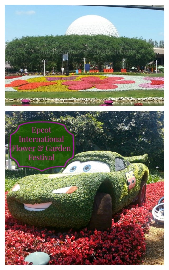 Five things to know before your Disney experience and Our trip to Epcot International Flower & Garden Festival