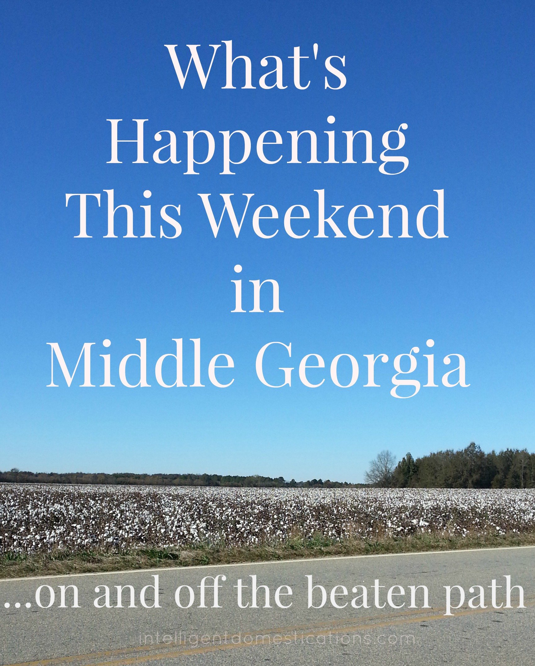 What’s Happening This Weekend in Middle Georgia And Beyond