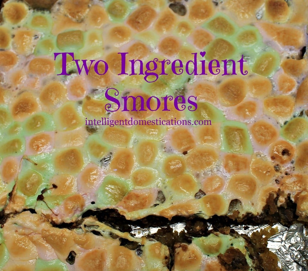 WWE Theme Party Ideas with recipes and decor. WWE Party. Two Ingredient Smores recipe at www.intelligentdomestications.com