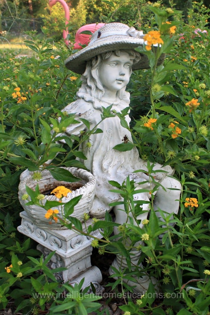 Momma's Flower basket girl sits amongst the lantana.www.intelligentdomestications.com