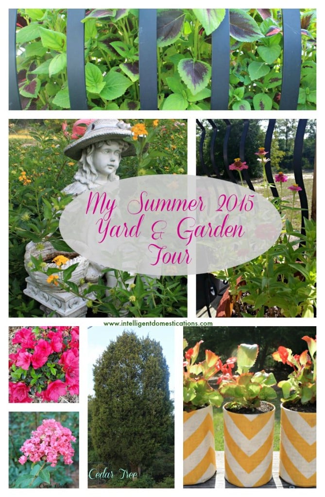 My Summer 2015 Yard and Garden Tour.www.intelligentdomestications.com