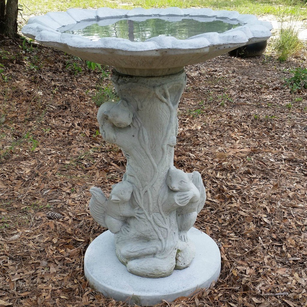 Our new birdbath added early Spring 2015.www.intelligentdomestications.com