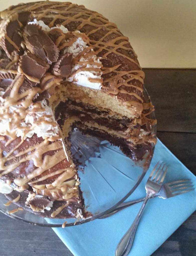 Chocolate Peanut Butter Brownie Cake from Three Kids And A Fish