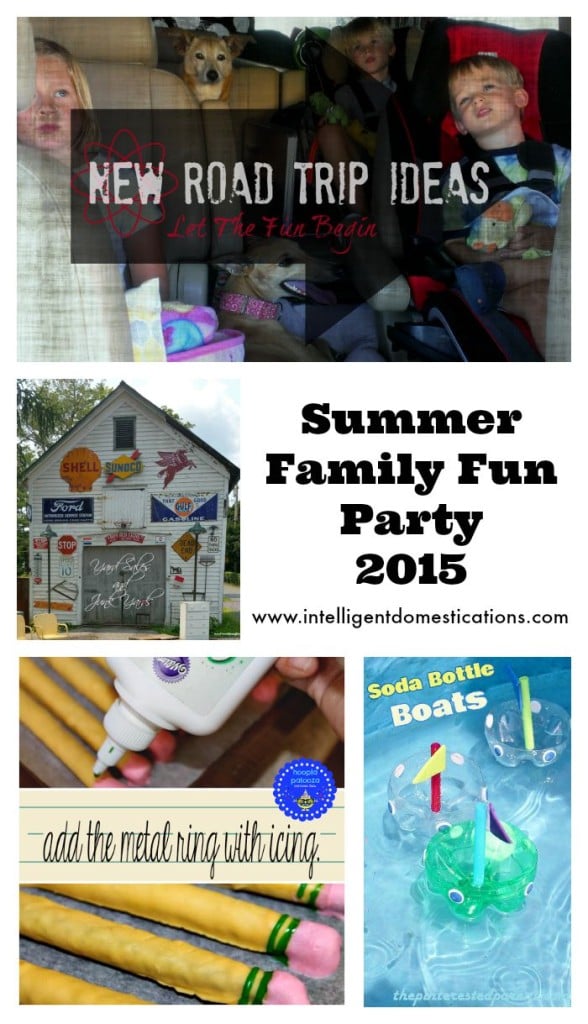 Summer Family Fun Party 2015 Features 2.www.intelligentdomestications.com