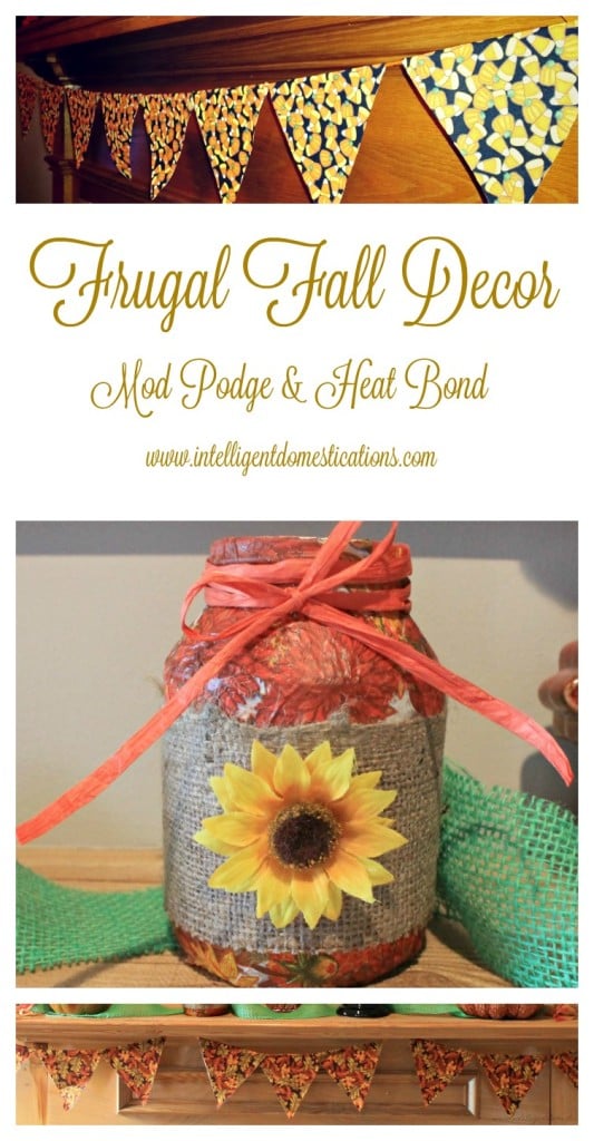Frugal Fall Decor.Mod Podge & Heat Bond.www.intelligentdomestications.com