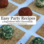 Easy Party Recipes. 4 Ingredient Mini Cheeseballs.intelligentdomestications.com
