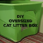 DIY Oversized Cat Litter Box.intelligentdomestications.com