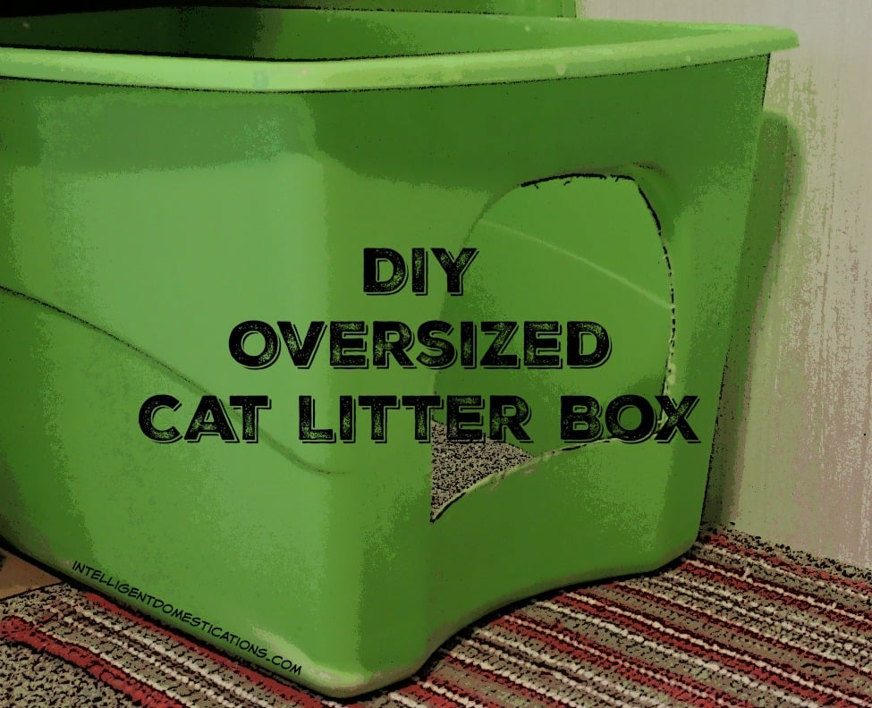 DIY Oversize Cat Litter Box