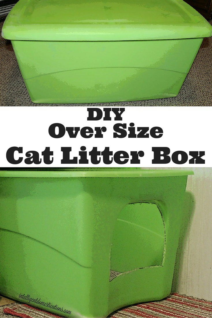 DIY Oversize Cat Litter Box