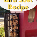 Easy 5 ingredient Bird Suet Recipe using peanut butter. Make this bird suet with the children, it's that easy. Freezes well. #birdsuet #birding #outdoorliving