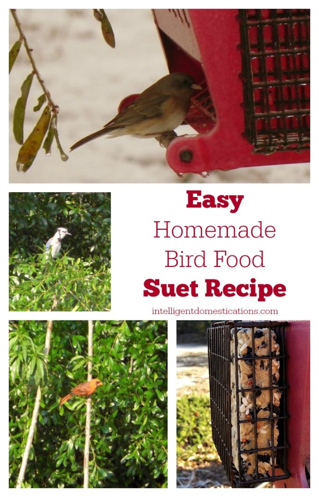 Easy Homemade Bird Suet Recipe