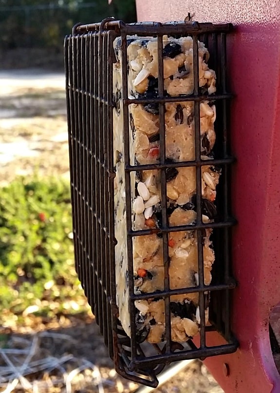 Easy Homemade Bird Suet Recipe