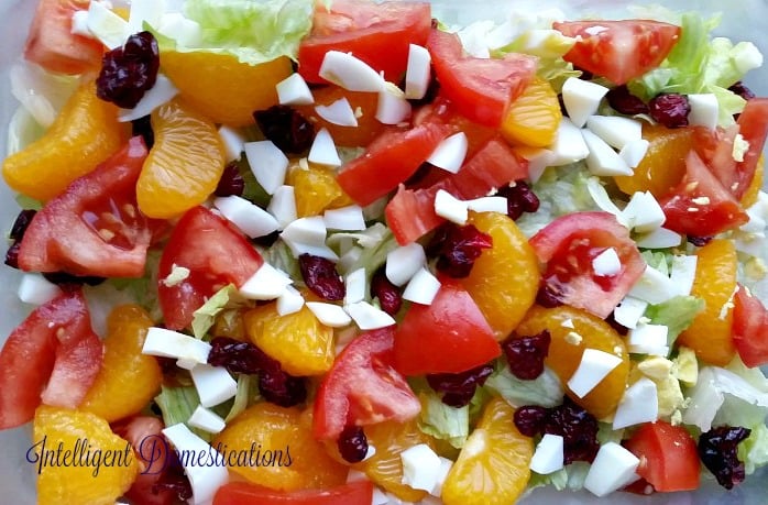 Mango Salad.intelligentdomestications.com