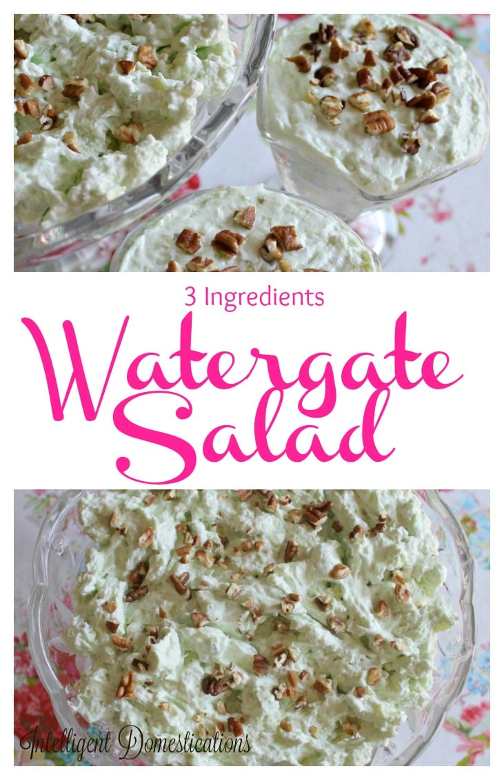 Classic Watergate Salad is a deep south dish easy to make and even Keto friendly. The flavors include pistachio with marshmallows and pineapple. Pecans optional. Serve as a dessert for summer soirees, Easter, Thanksgiving, Christmas or any occasion. #Watergatesalad #pistashio #Easydessert #Nobake Classic Watergate Salad is a deep south dish easy to make and even Keto friendly. The flavors include pistachio with marshmallows and pineapple. Pecans optional. Serve as a dessert for summer soirees, Easter, Thanksgiving, Christmas or any occasion. #Watergatesalad #pistashio #Easydessert #Nobake
