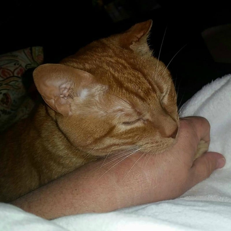 Heebly like to hold hands. He's such a lover