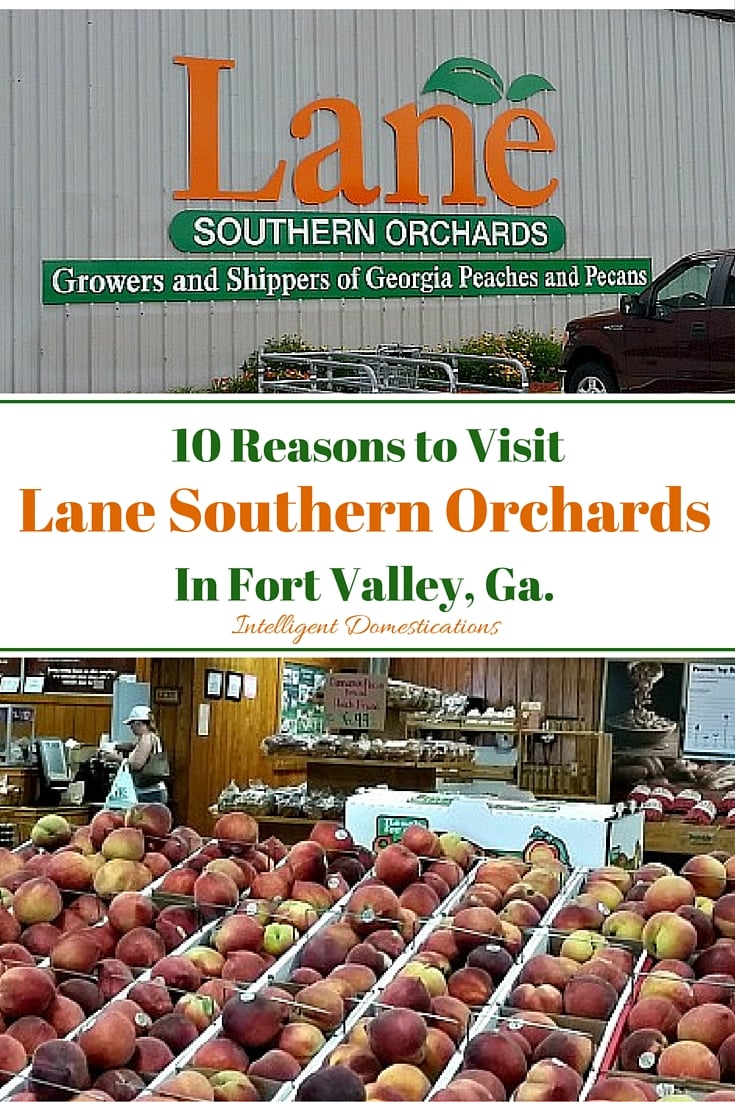10 Reasons to Visit Lane Southern Orchards in Fort Valley, Ga.