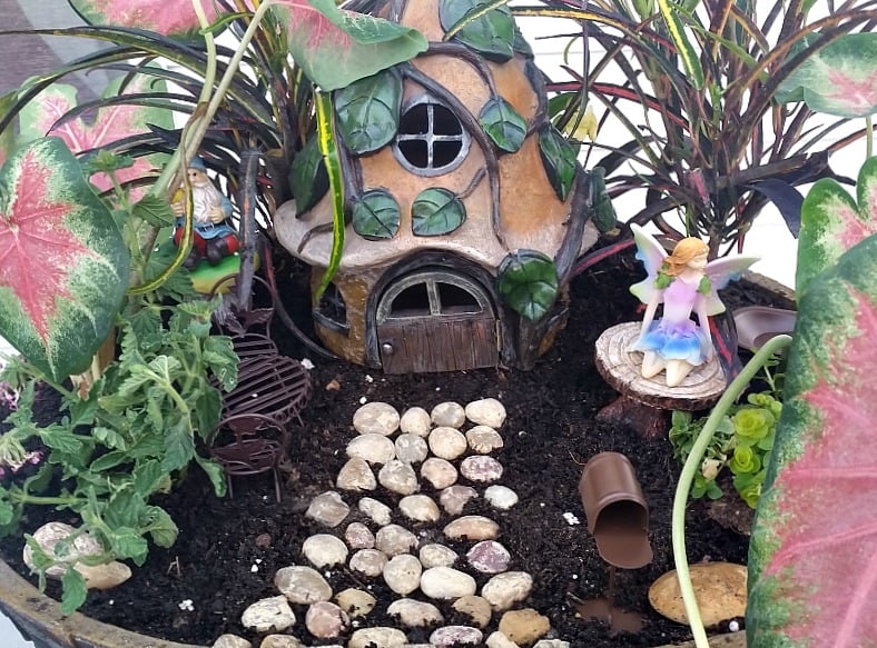 My Fairy Garden Tour 2016. Fairy Garden Ideas. Flowers to use in a flower garden. #fairygarden #gnomes #fairygardenideas 