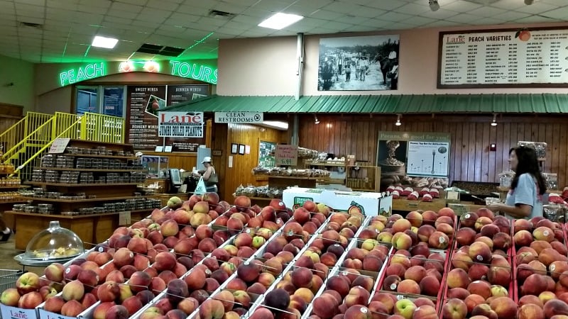 Fresh Peaches area plenteous at Lane Southern Orchards during peach season. You will find fresh Pecans just as plenteous during pecan season