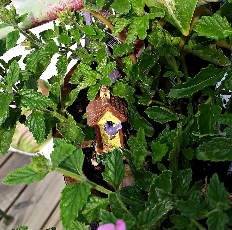 My Fairy Garden Birdhouse is actually a cheese fork! My Fairy Garden Tour 2016. Fairy Garden Ideas. Flowers to use in a flower garden. #fairygarden #gnomes #fairygardenideas 
