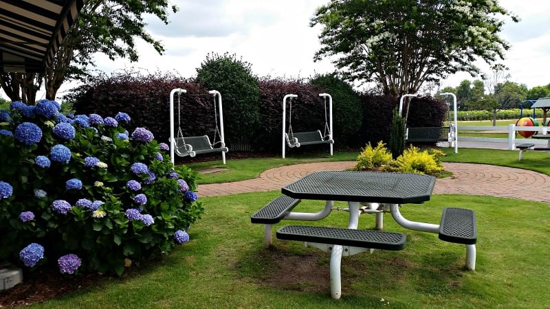 Sit and swing under the shade trees next to the gorgeous hydrangea on your visit to Lane Southern Orchards