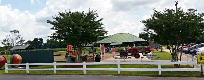 Take a break from your drive down the I-75 and let the children play at Lane Southern Orchards. There is a pic nic shelter, tractors to climb on and shade to enjoy