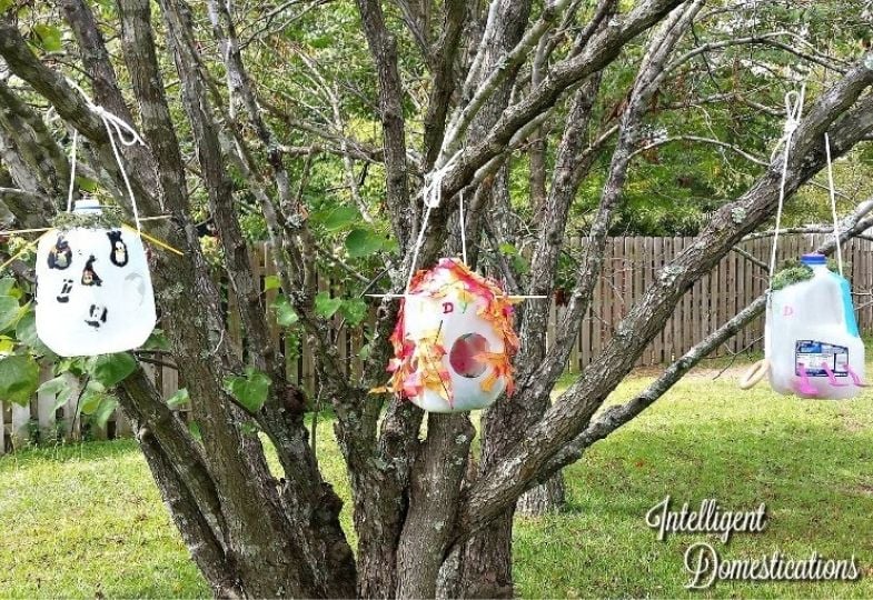 Milk Jug Bird Houses hanging in a tree