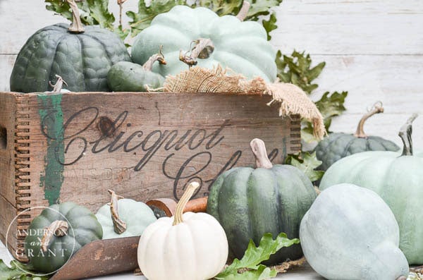 crate-fall-pumpkins-anderson-and-grant