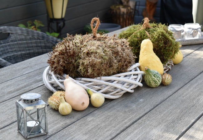 diy-moss-pumpkin-4