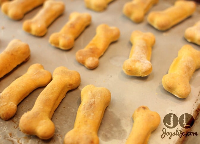 pumpkin-dog-bone-treats-at-joyslife