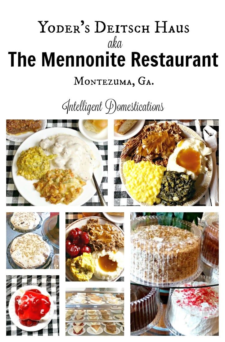 the-mennonite-restaurant-review-at-intelligentdomestications-com