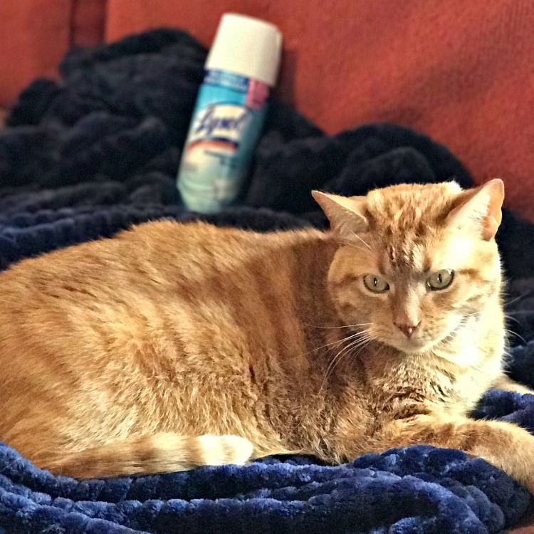 How to take the drudgery out of spring cleaning.