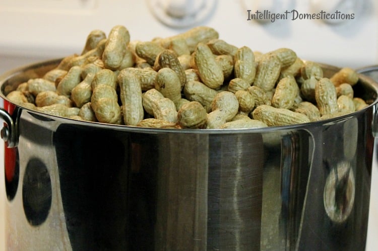 How To Make Boiled Peanuts. It's a very simple recipe involving only 3 ingredients and one of those is water. Boiled peanuts are football food, baseball food, an appetizer or snack and even a good party food. You can cook boiled peanuts on your stove top at home! #peanuts #boiledpeanuts How To Make Boiled Peanuts. It's a very simple recipe involving only 3 ingredients and one of those is water. Boiled peanuts are football food, baseball food, an appetizer or snack and even a good party food. You can cook boiled peanuts on your stove top at home! #footballfood #appetizer #boiledpeanuts