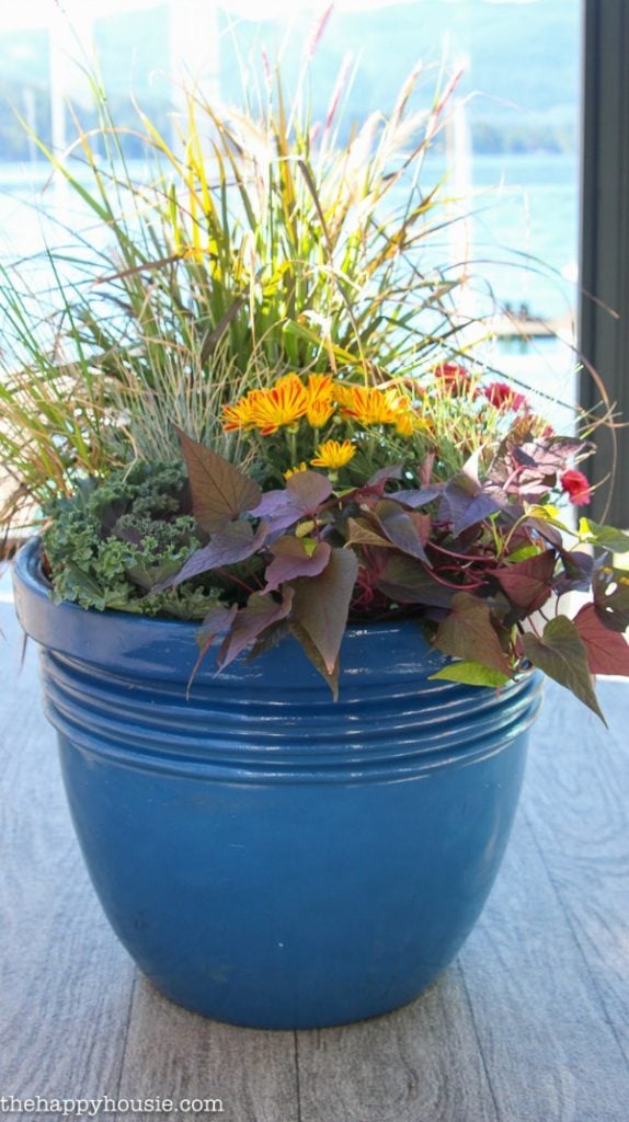 How-to-make-stunning-DIY-fall-planters-with-the-best-showy-fall-plants-at-thehappyhousie-FEATURED at the Merry Monday Link Up party