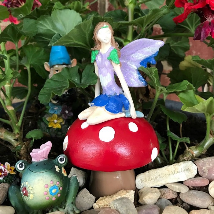 Fairy Garden Ideas