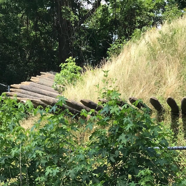 Our Virginia vacation included visits to Yorktown and Williamsburg. Oleta Bus Tours became one of the highlights of our trip because our tour guide was a wealth of historic facts. He shared all sorts of historical facts, tourist tips and valuable information. #williamsburg #bustour #historicwilliamsburg #yorktown Our Virginia vacation included visits to Yorktown and Williamsburg. Oleta Bus Tours became one of the highlights of our trip because our tour guide was a wealth of historic facts. He shared all sorts of historical facts, tourist tips and valuable information. #williamsburg #bustour #historicwilliamsburg #yorktown