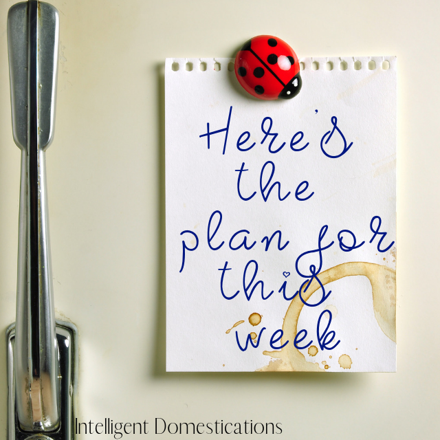 A note on a refrigerator for a weekly family plan