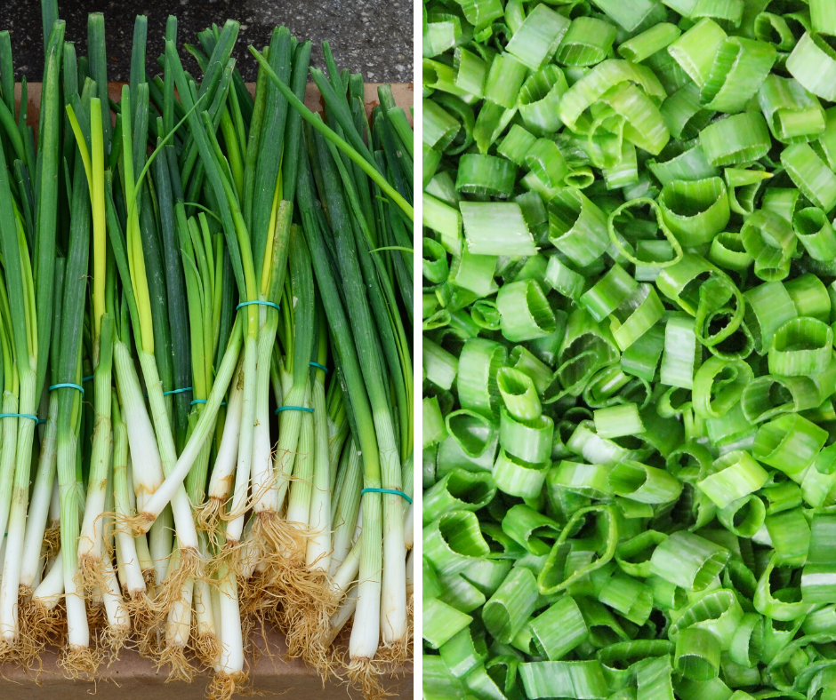 Fresh from the garden green onions