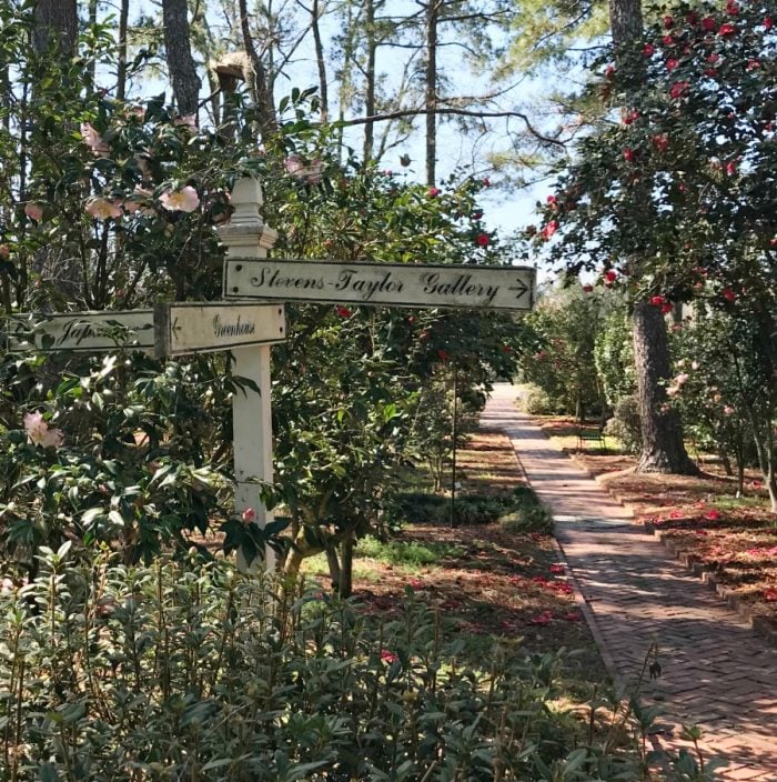 Image for Tips For Visiting Massee Lane Gardens Fort Valley, Georgia