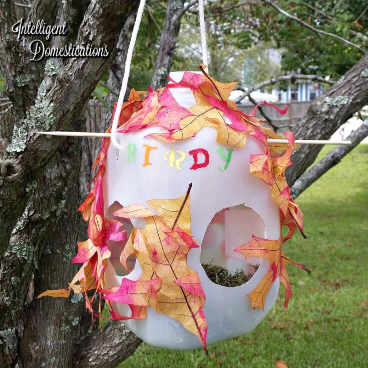 Image for How To Make Milk Jug Bird Houses