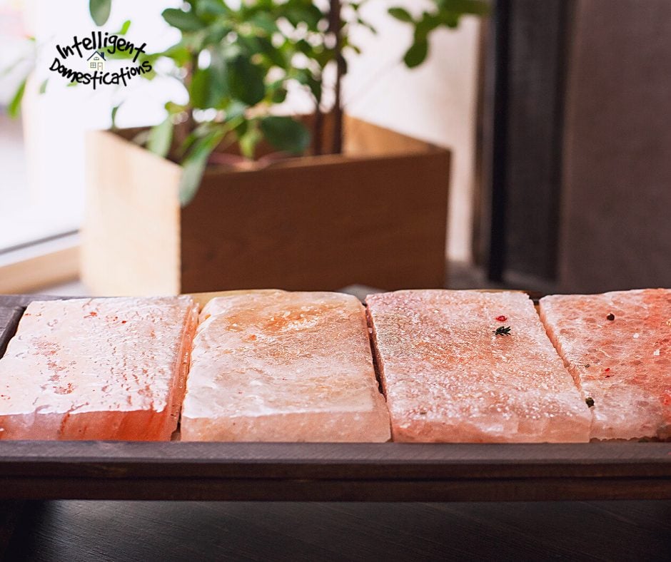 Himalayan Salt Blocks side by side on a tray near a window with a houseplant in the background