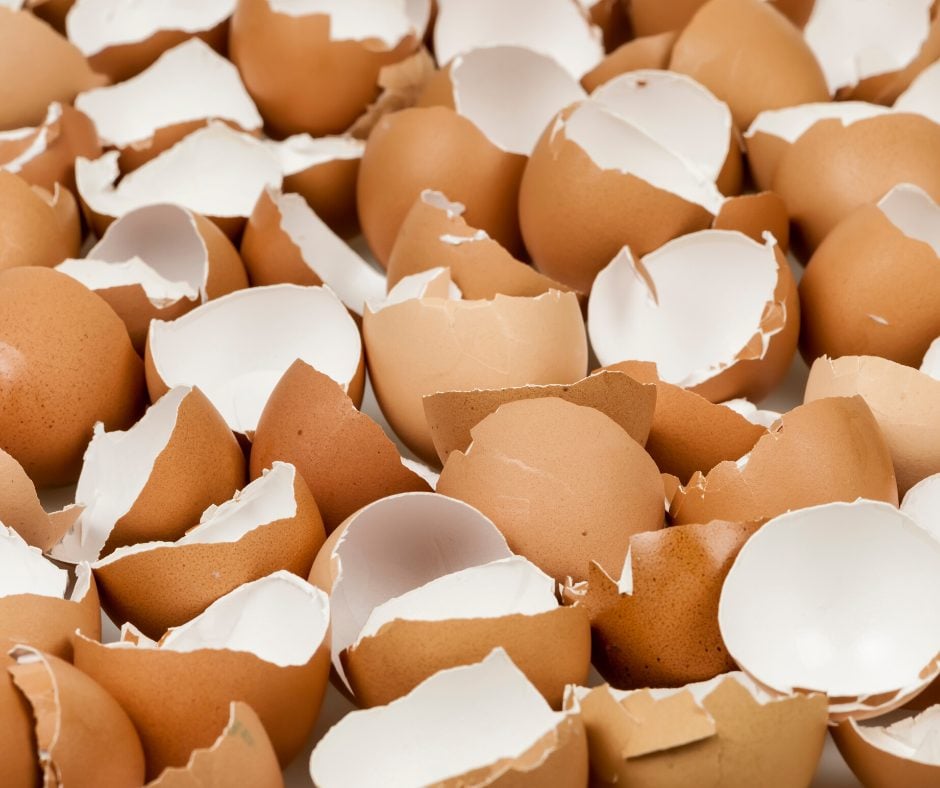 a picture of lots of broken egg shells