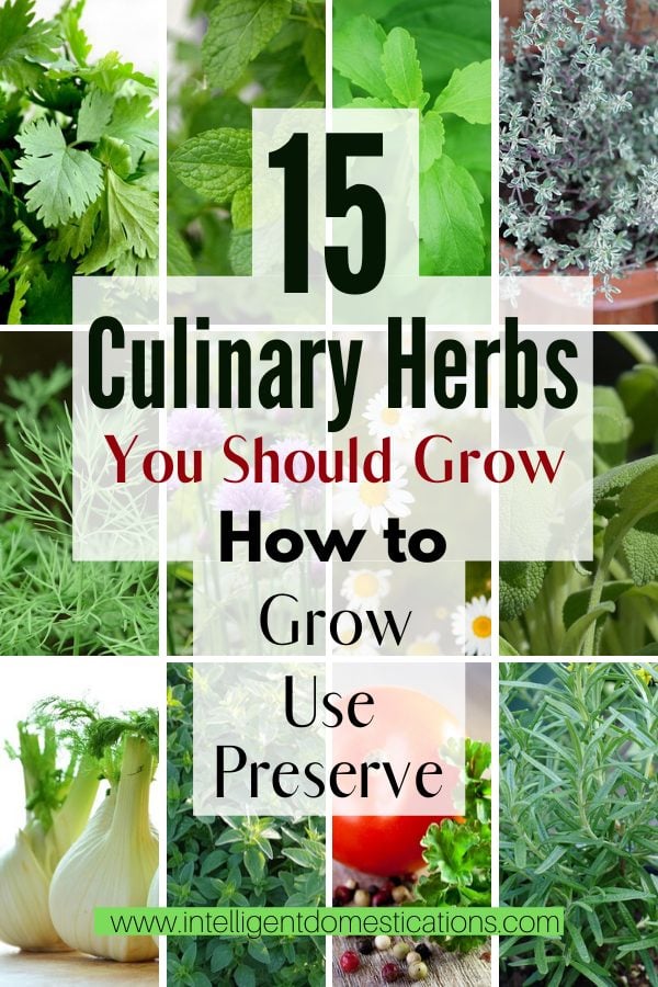 12 fresh herbs pictured